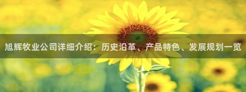 乐虎国际登录平台网站官网入口蓝色光标