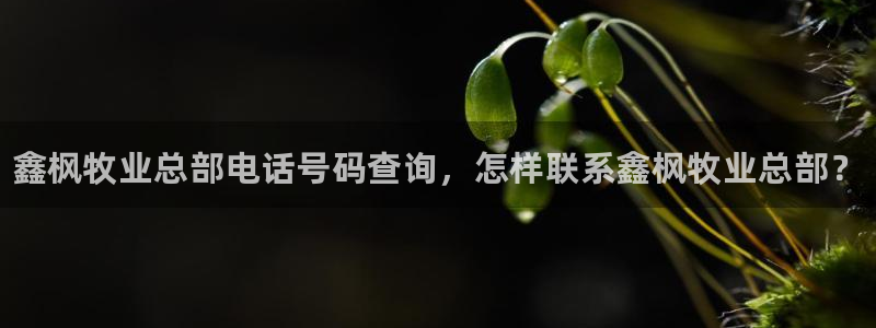 乐虎国际登录平台网站官网网易